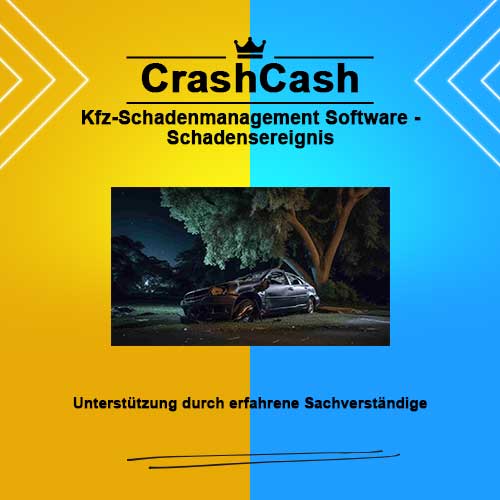 Kfz-Schadenmanagement Software - Schadensereignis